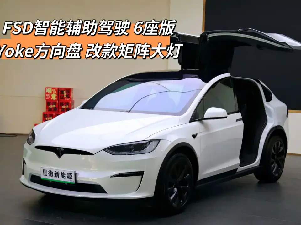 Tesla Model X Dual Motor All-Wheel Drive Edition 2023