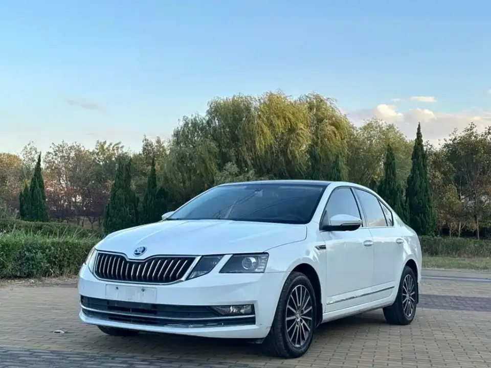 Skoda Octavia TSI230 DSG Zhixing Luxury Edition China VI 2019