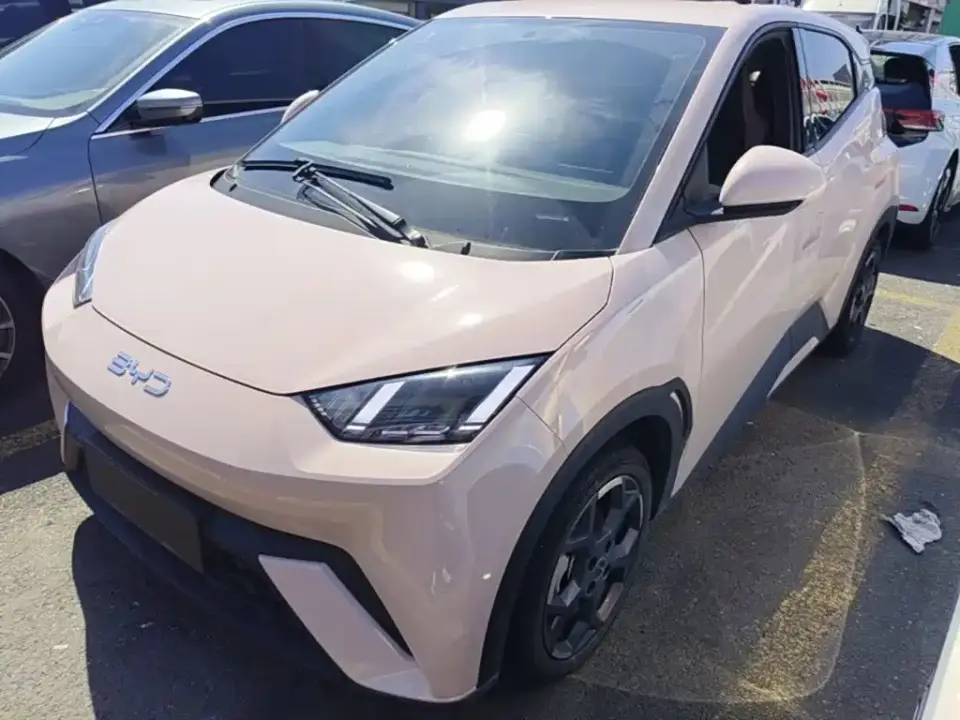 BYD Seagull 305km Freedom 2024