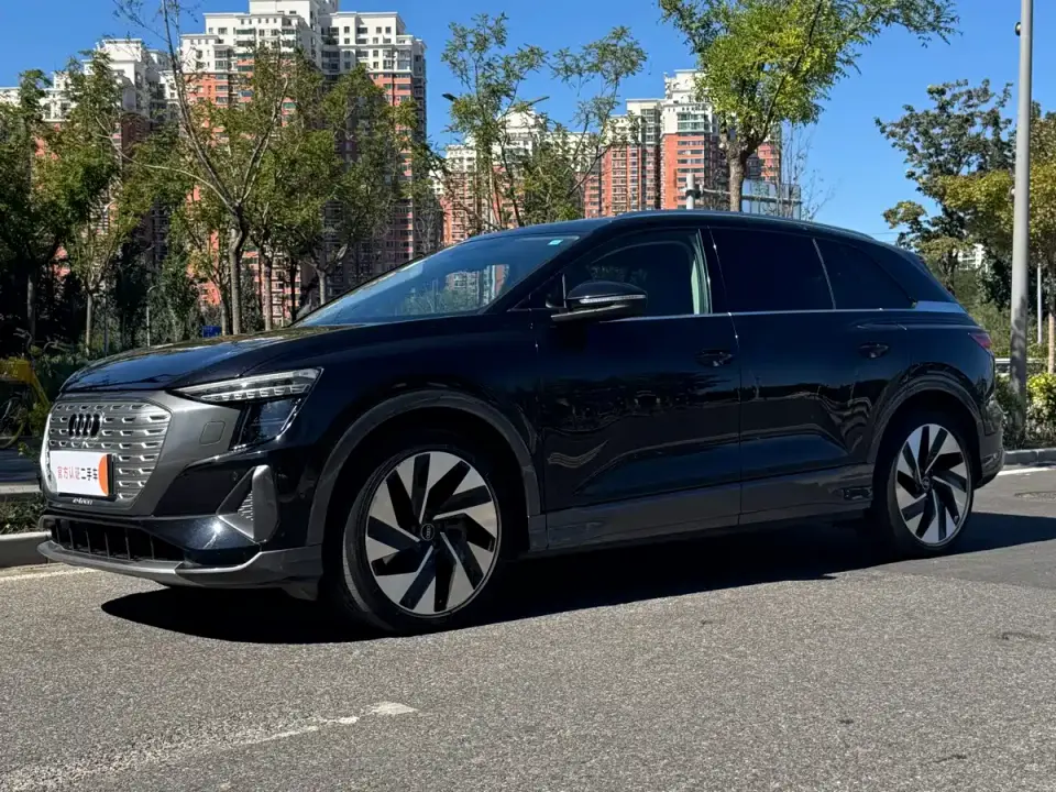 Audi Q5 e-tron 50 e-tron quattro Honor Edition Brocade Package 2023