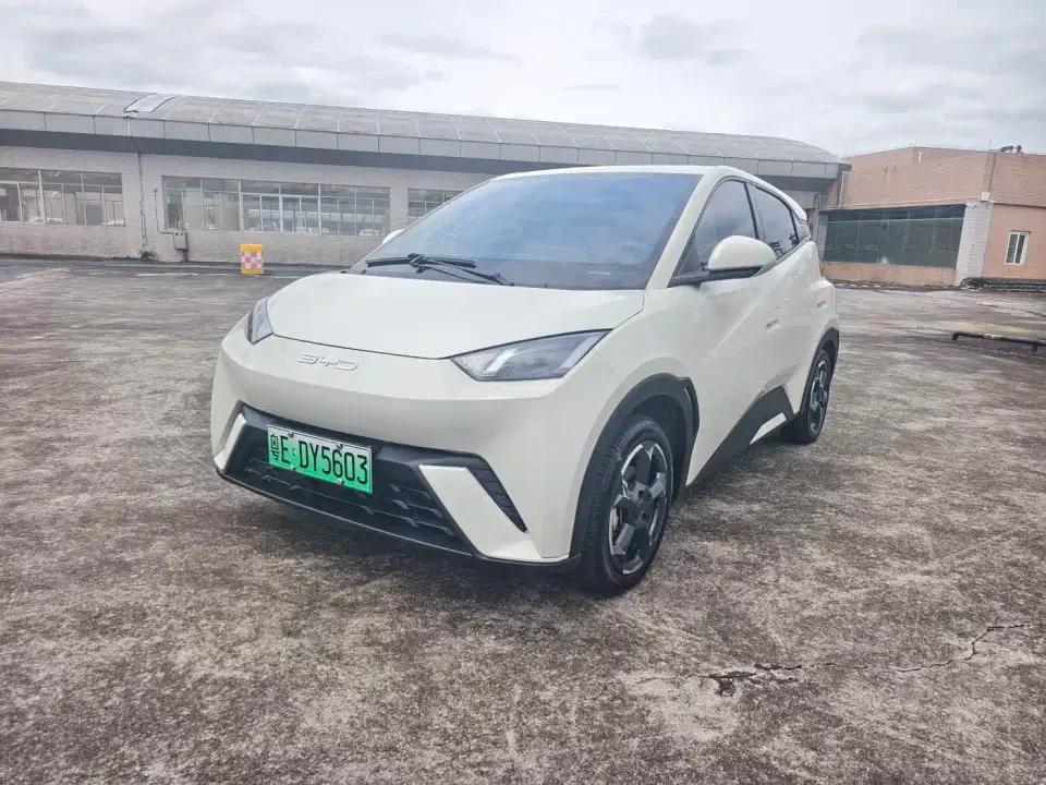 BYD Seagull Glory Edition 405km Soaring Edition 2024