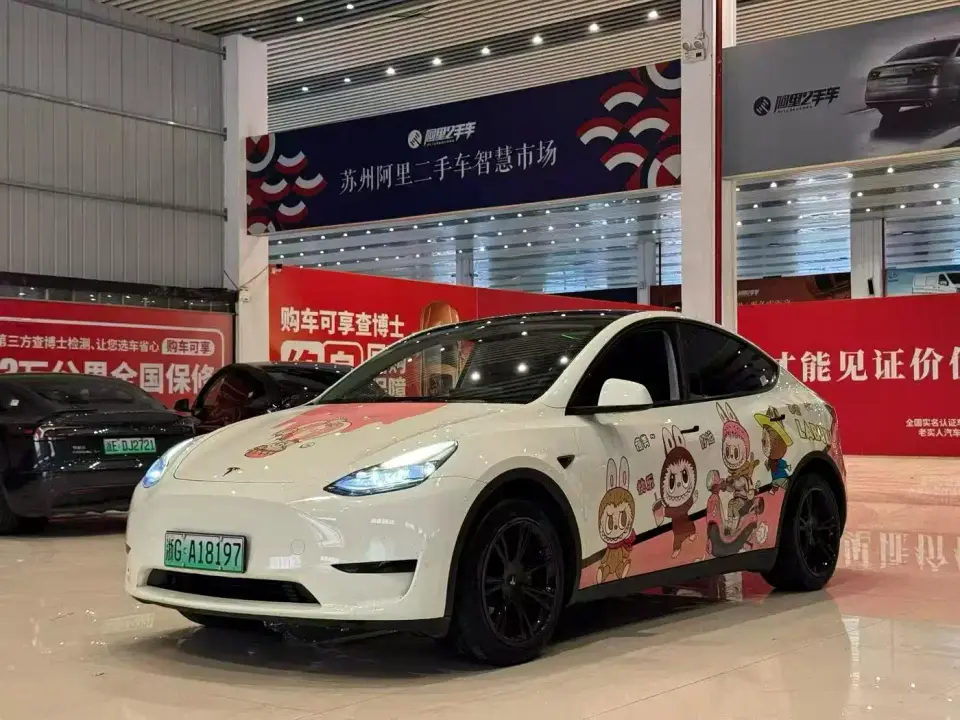 Tesla Model Y Rear-Wheel Drive Version 2024