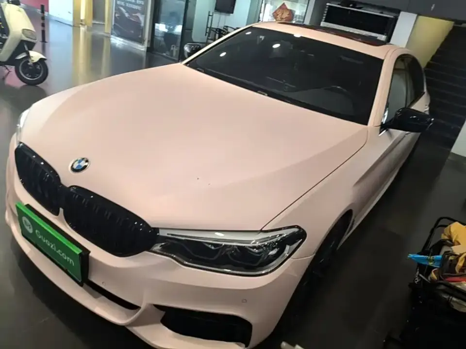BMW 5 Series 530Li Leading M Sport Package 2020