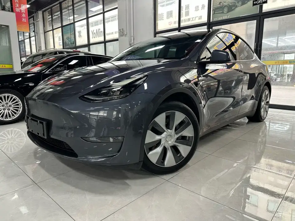 Tesla Model Y Rear-Wheel Drive Version 2021