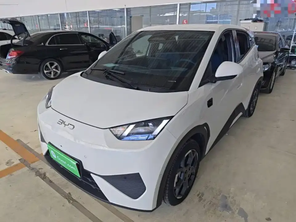 BYD Seagull Smart Drive Edition 305km Freedom Version 2026