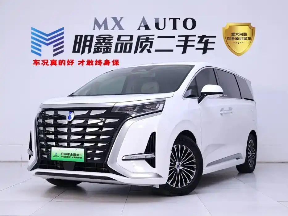 Denza D9 DM-i 980 AWD Prestige 2024