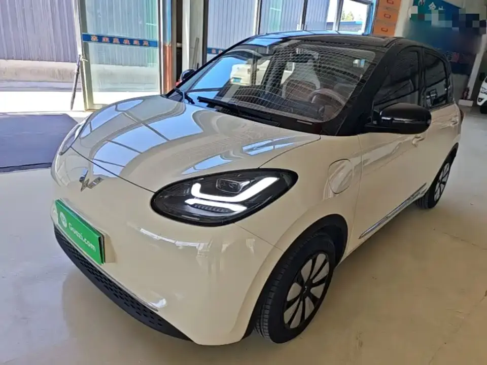 Wuling Motors Wuling Bingo Model 333km Joy Edition 2025