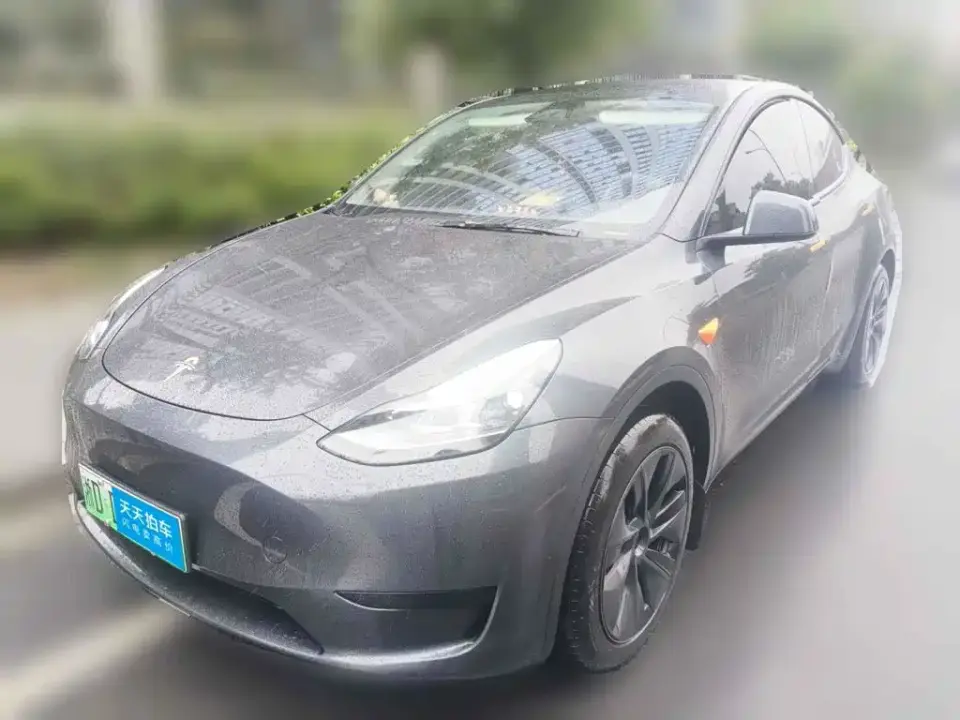 Tesla Model Y Rear-Wheel Drive Version 2024