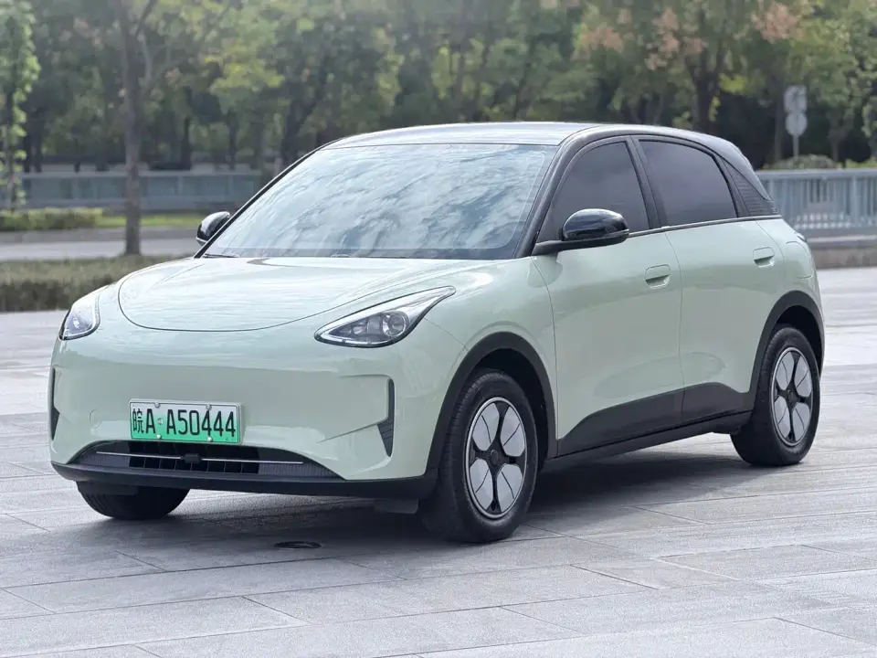 Geely Galaxy Starry Wish 310km Youth Edition 2024