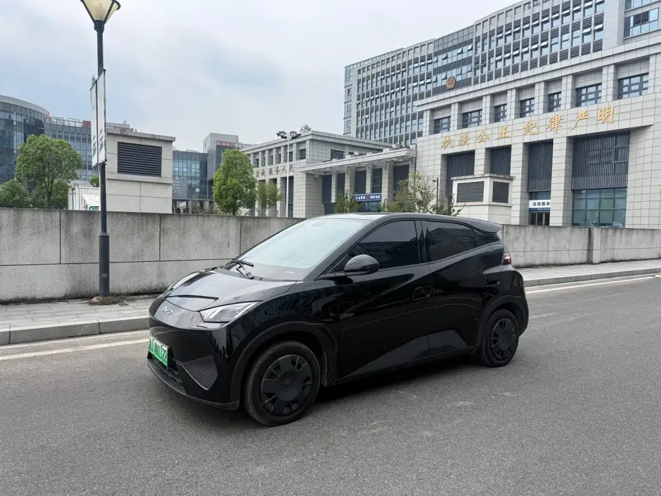 BYD Seagull 305km Freedom 2025