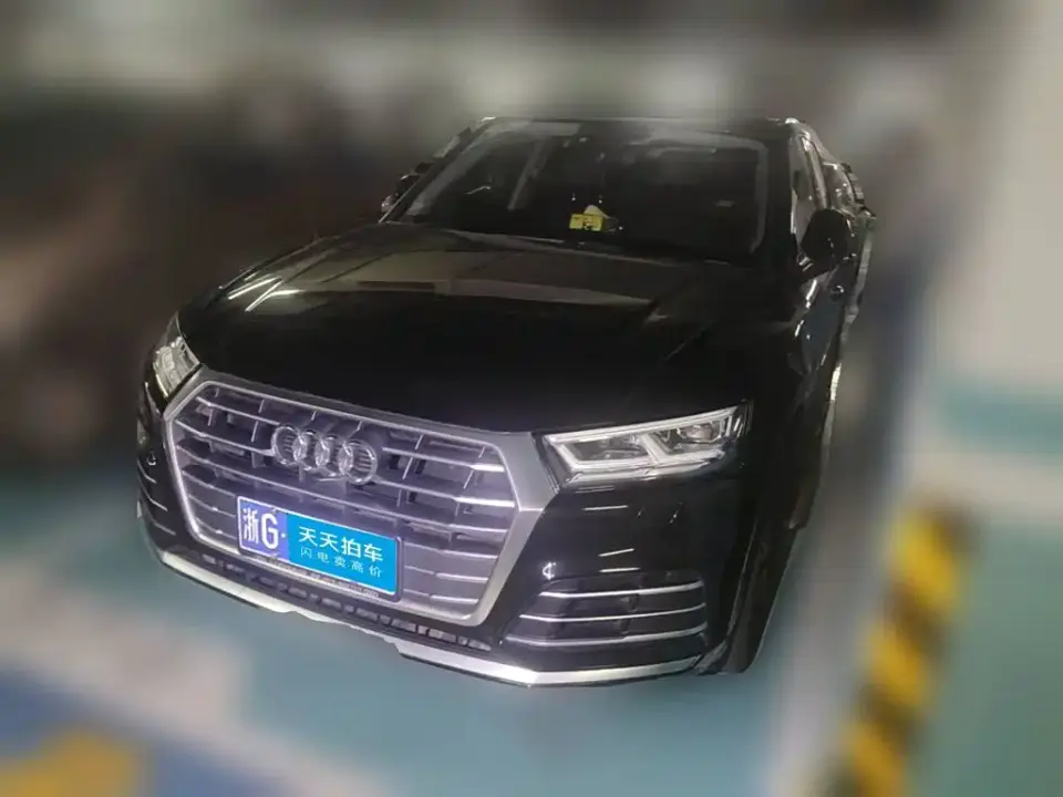 Audi Q5L 45 TFSI Exclusive Fashion 2020