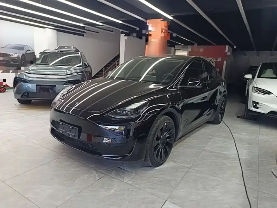 Tesla Model Y Rear-Wheel Drive Version 2022