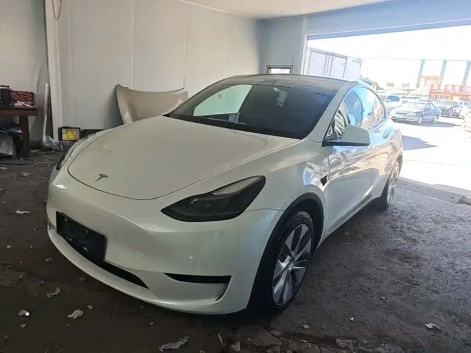Tesla Model Y Rear-Wheel Drive Version 2022