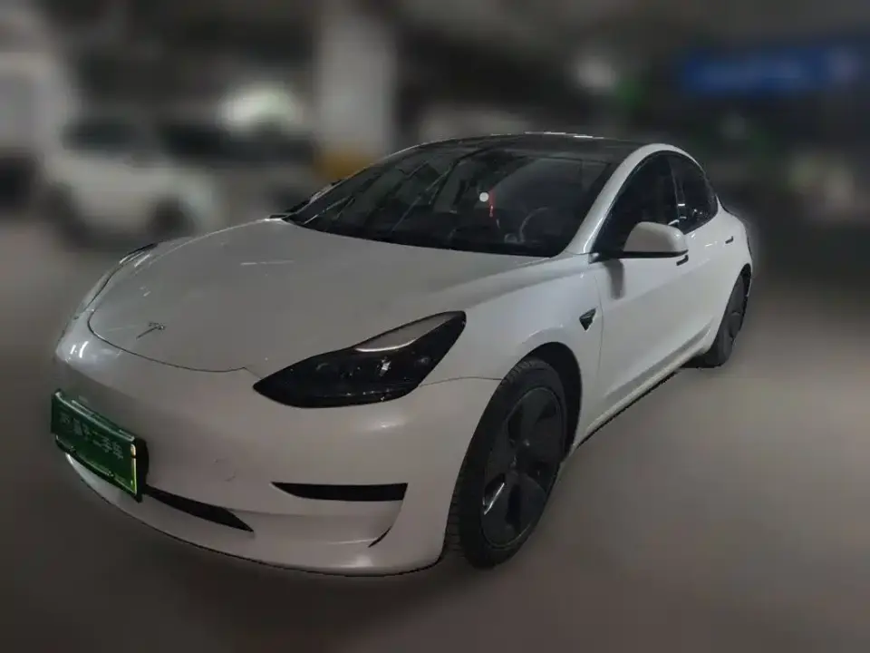 Tesla Model 3 Standard Range Rear-Wheel Drive Upgrade 3D6 2021