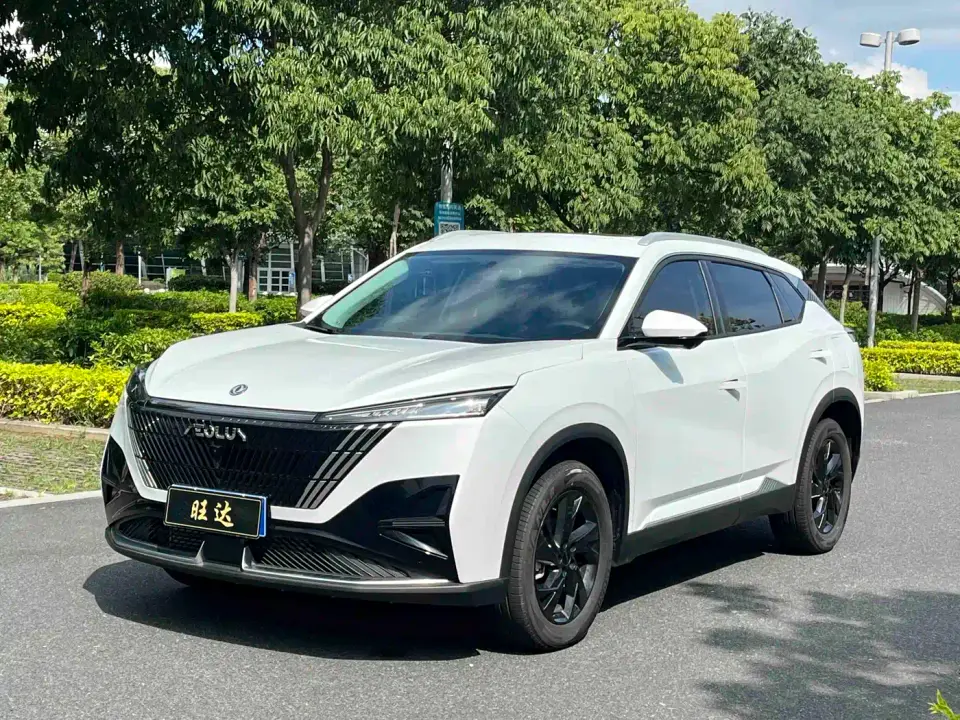 Dongfeng Aeolus Haohan 1.5T Luxury 2024