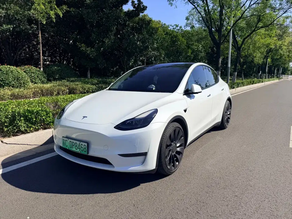 Tesla Model Y Performance High-Performance All-Wheel Drive Version 2022