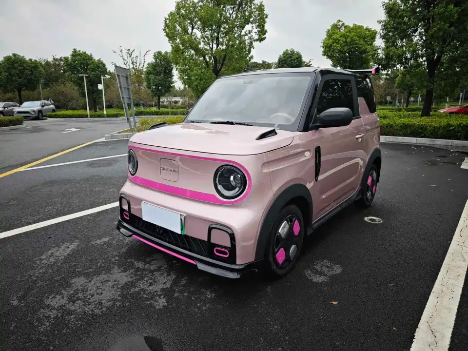 Geely Galaxy Panda Model Year 210km Panda Kart 2026