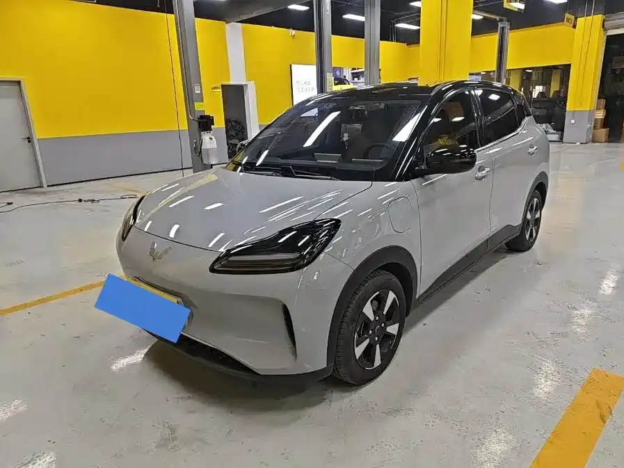 Wuling Motors Wuling Binguo PLUS Model 330km 5-Seater 2024