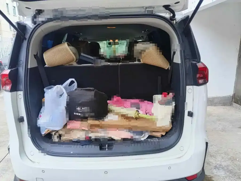 SAIC Maxus Maxus G50 Facelift 1.5T Manual Roaming A 2024 — фото 13