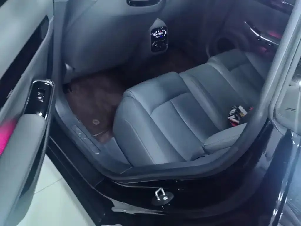 Leapmotor C01 630 AWD Performance Edition 2023 — фото 17