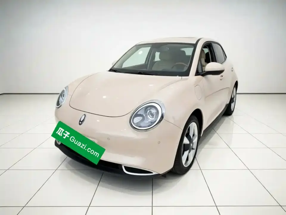 ORA Good Cat 400km Standard Range Athena Edition (NCM) 2021
