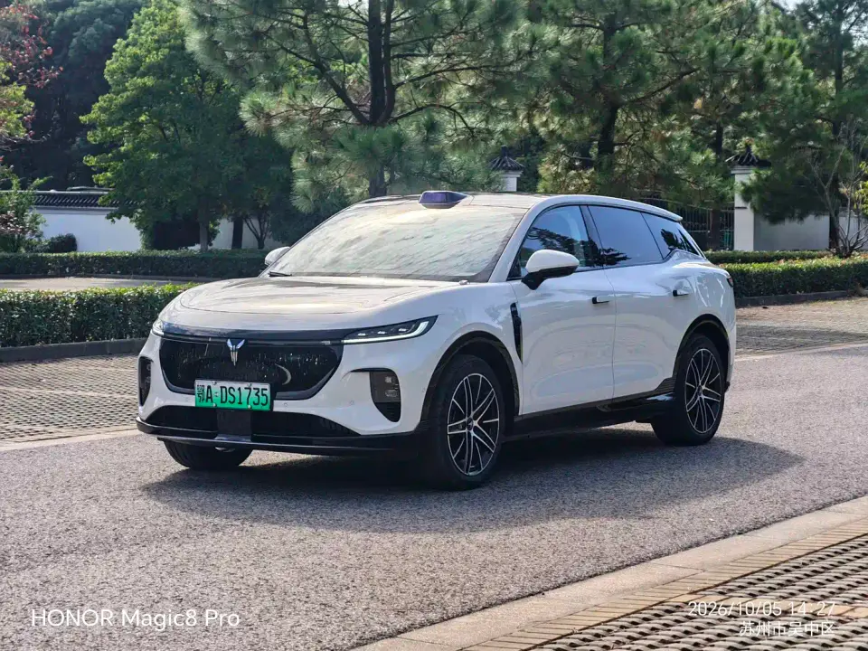 Voyah Auto Voyah Zhiyin Base 2025