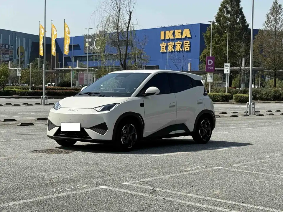 BYD Seagull Smart Driving Edition 405km Flying Edition 2025