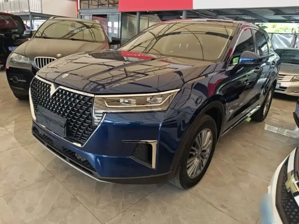 Venucia Star 260T Automatic Star Fashion Edition 2022