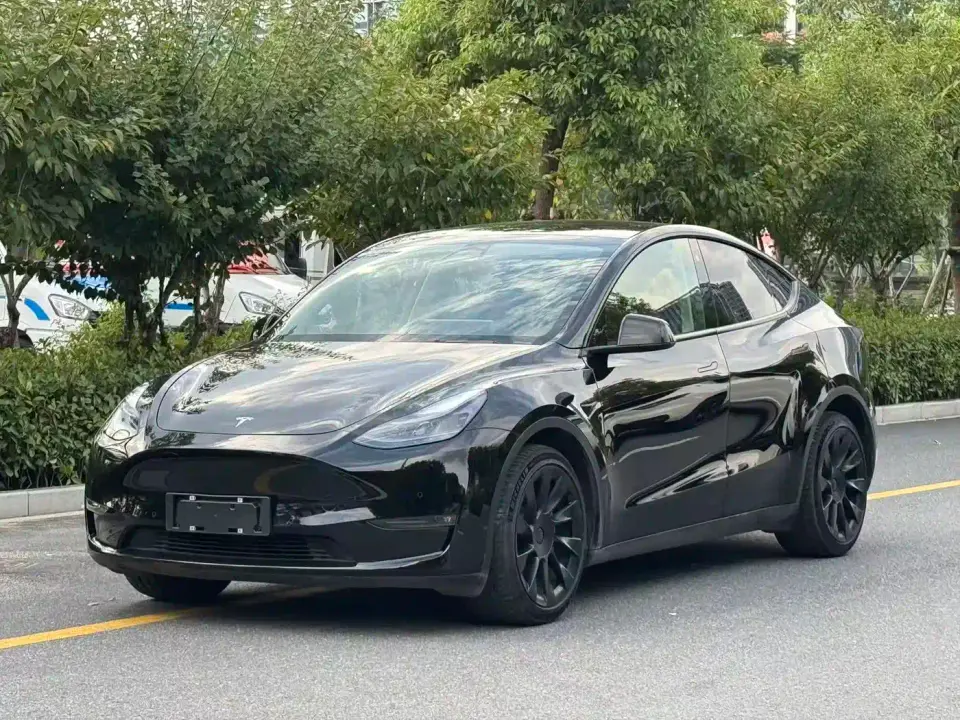 Tesla Model Y Model Long Range AWD 2021