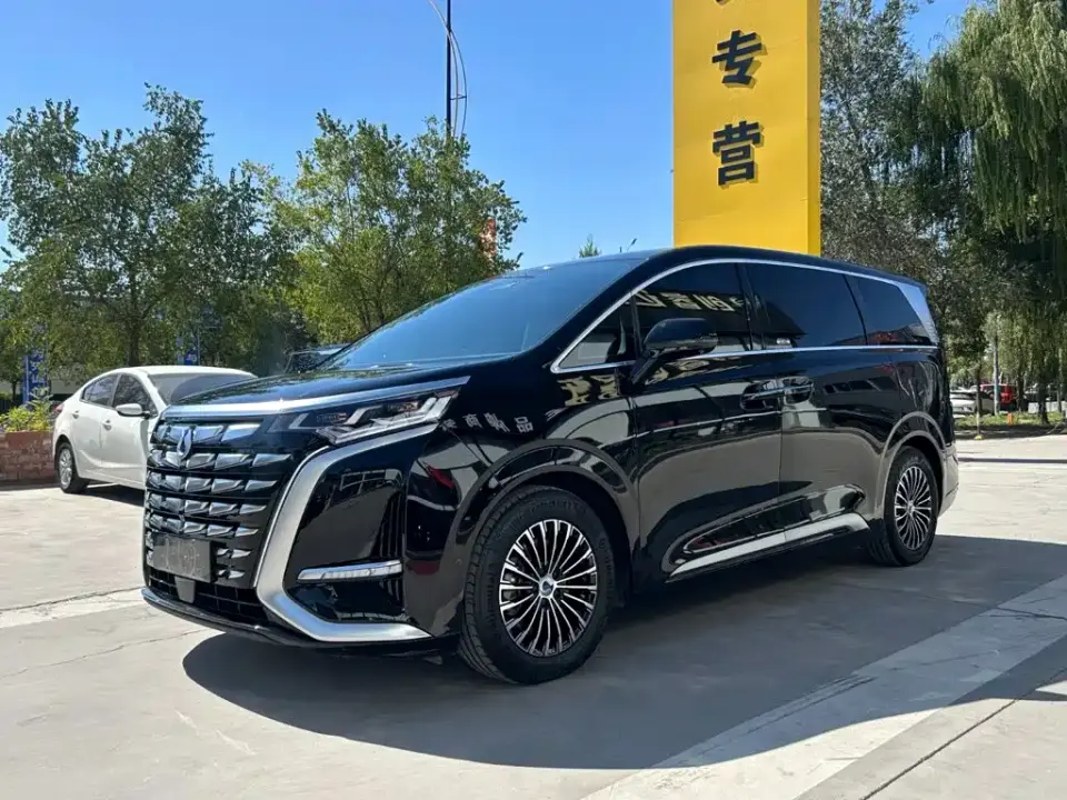 Denza D9 DM-i 980 AWD Flagship 2024