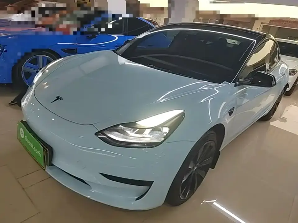 Tesla Model 3 Standard Range Rear-Wheel Drive Upgrade 3D6 2021