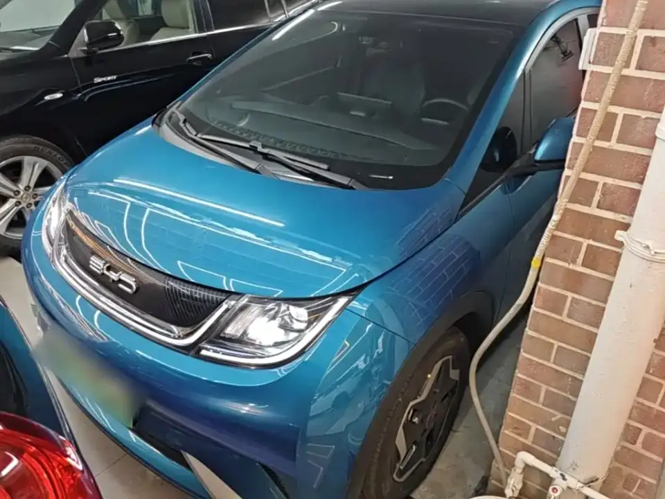 BYD Dolphin Model 405km Fashion Edition 2023