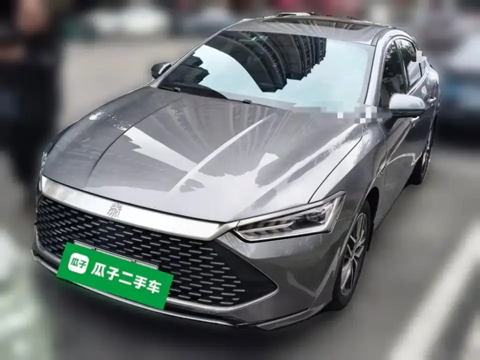 BYD Qin PLUS Champion Edition DM-i 55KM Surpassing 2024
