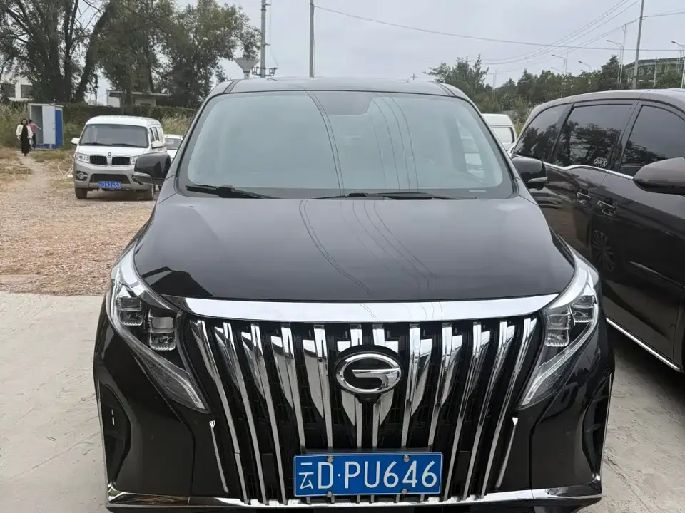 GAC Trumpchi M8 Pilot 390T Ultimate Edition 2020