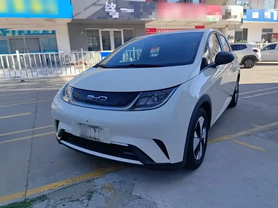 BYD Dolphin 420km Freedom Edition 2023