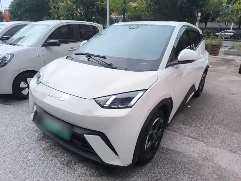 BYD Seagull Flying Edition 2023