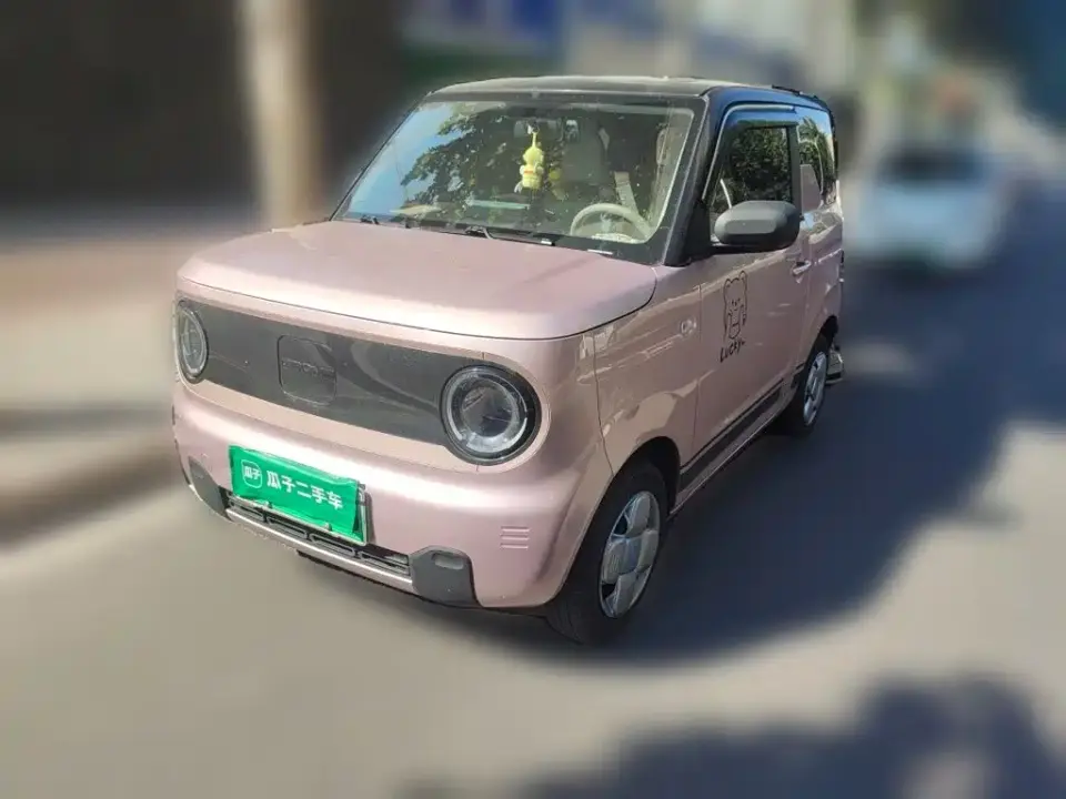 Geely Galaxy Panda Panda Mini 200km Endurance Bear 2024