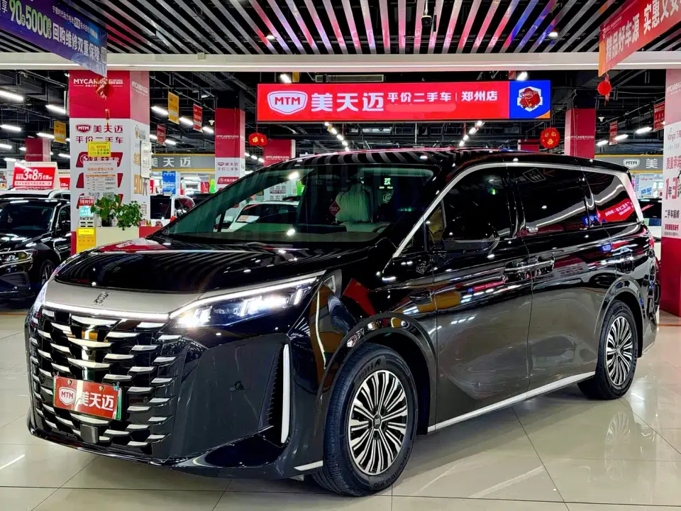 BYD Xia DM-i 1.5T 100km Leading Edition 2025