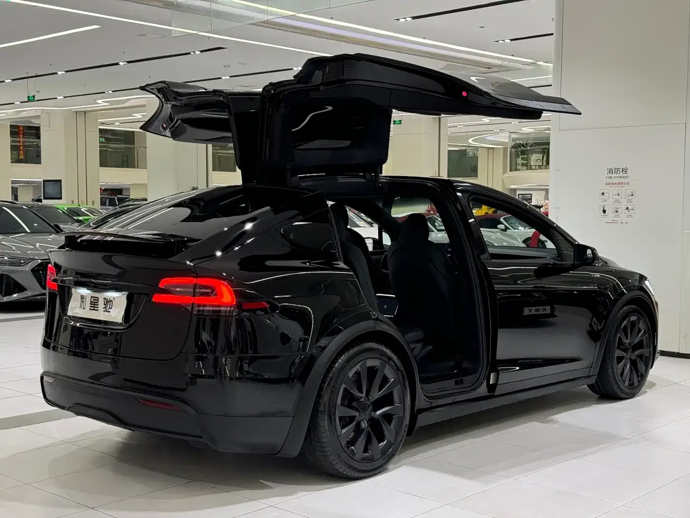 Tesla Model X Dual Motor All-Wheel Drive Edition 2023 — фото 4