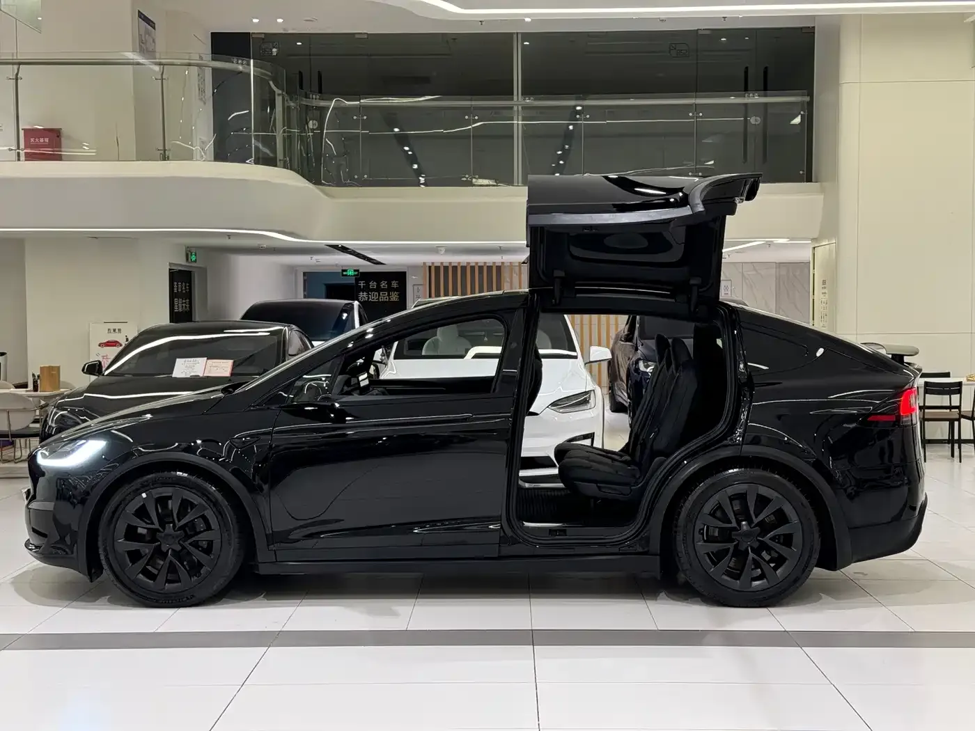 Tesla Model X Dual Motor All-Wheel Drive Edition 2023 — фото 5