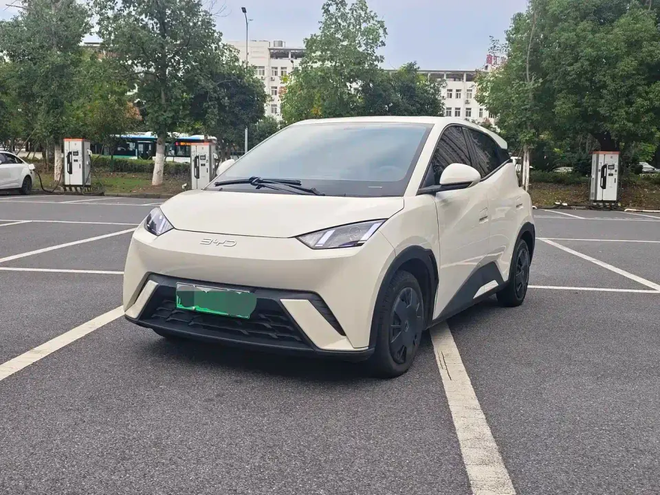 BYD Seagull Glory Edition 305km Vitality Edition 2024
