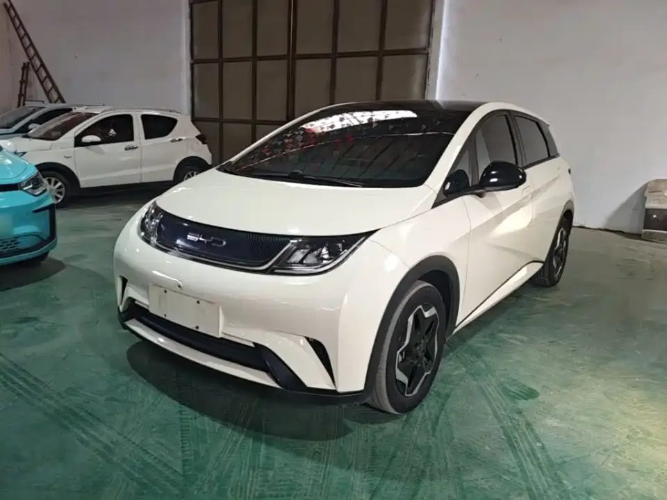 BYD Dolphin Model 405km Fashion Edition 2023