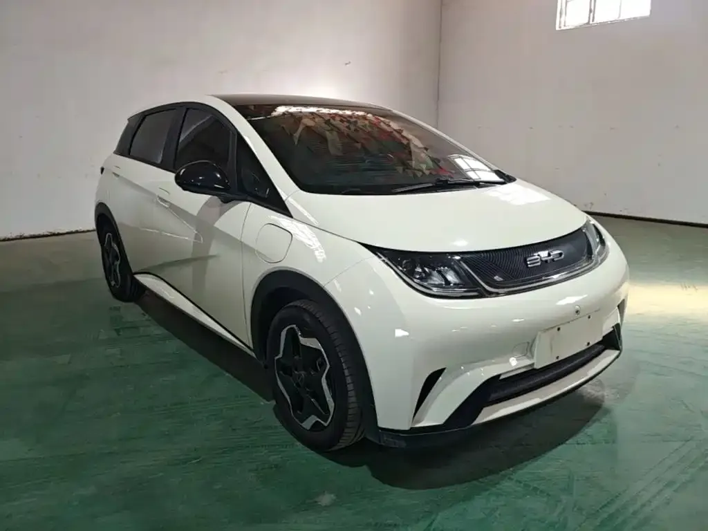 BYD Dolphin Model 405km Fashion Edition 2023 — фото 4