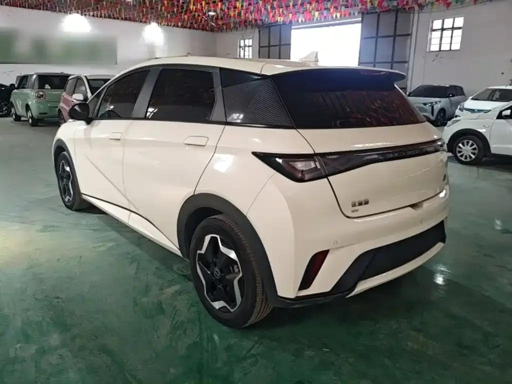 BYD Dolphin Model 405km Fashion Edition 2023 — фото 5