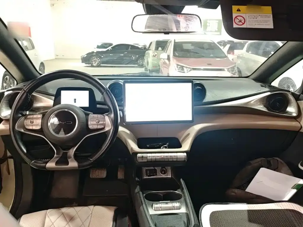 BYD Dolphin Model 405km Fashion Edition 2023 — фото 10
