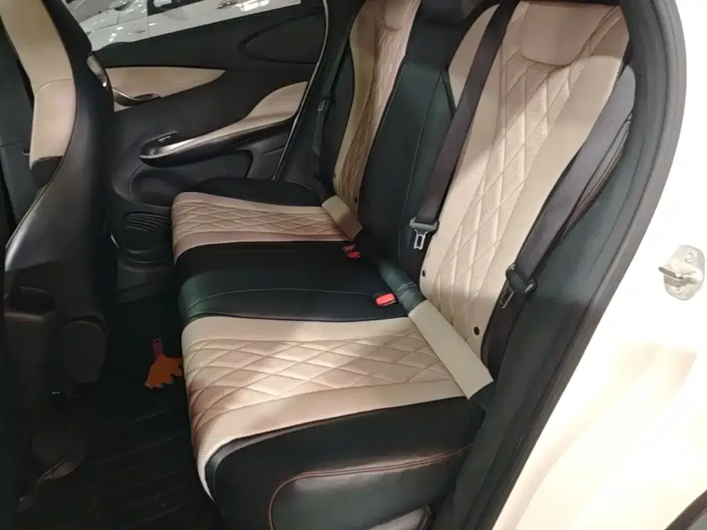 BYD Dolphin Model 405km Fashion Edition 2023 — фото 17