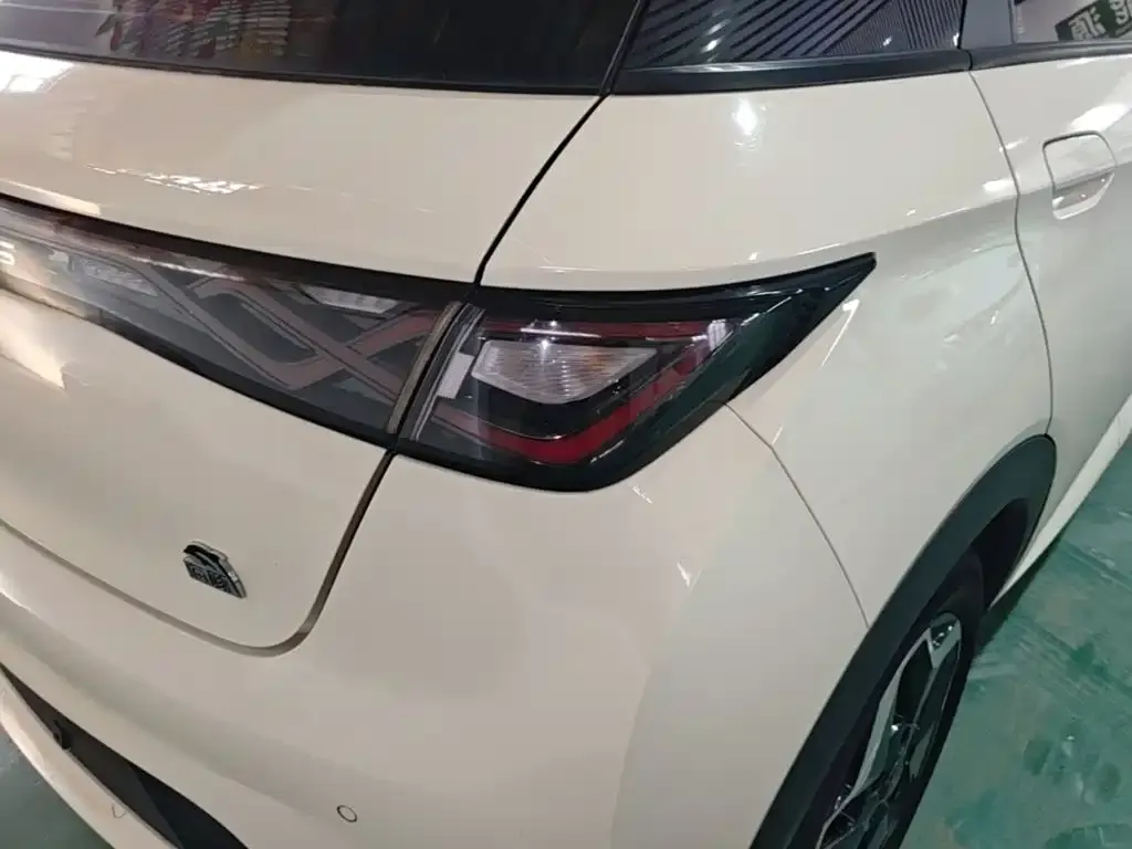 BYD Dolphin Model 405km Fashion Edition 2023 — фото 8