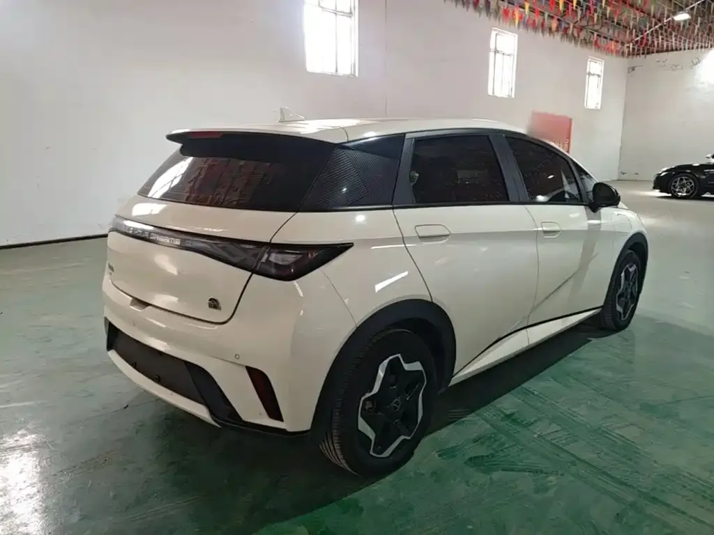 BYD Dolphin Model 405km Fashion Edition 2023 — фото 7