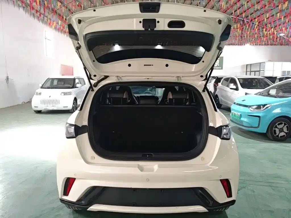 BYD Dolphin Model 405km Fashion Edition 2023 — фото 19