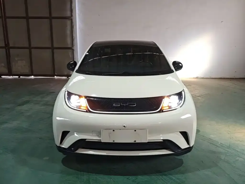 BYD Dolphin Model 405km Fashion Edition 2023 — фото 3